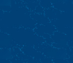 The Circle of Healing Arts LLC homepage
